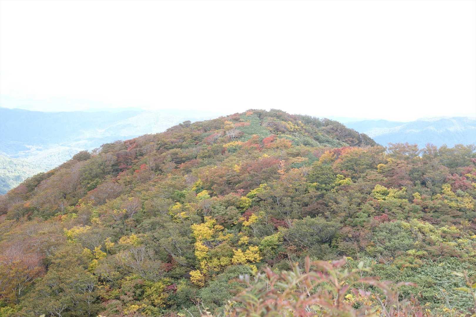 清太岩山が見えるようになりました
