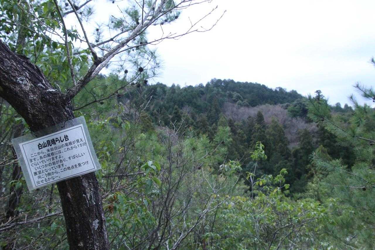 白山見晴台から見える米田白山の山頂