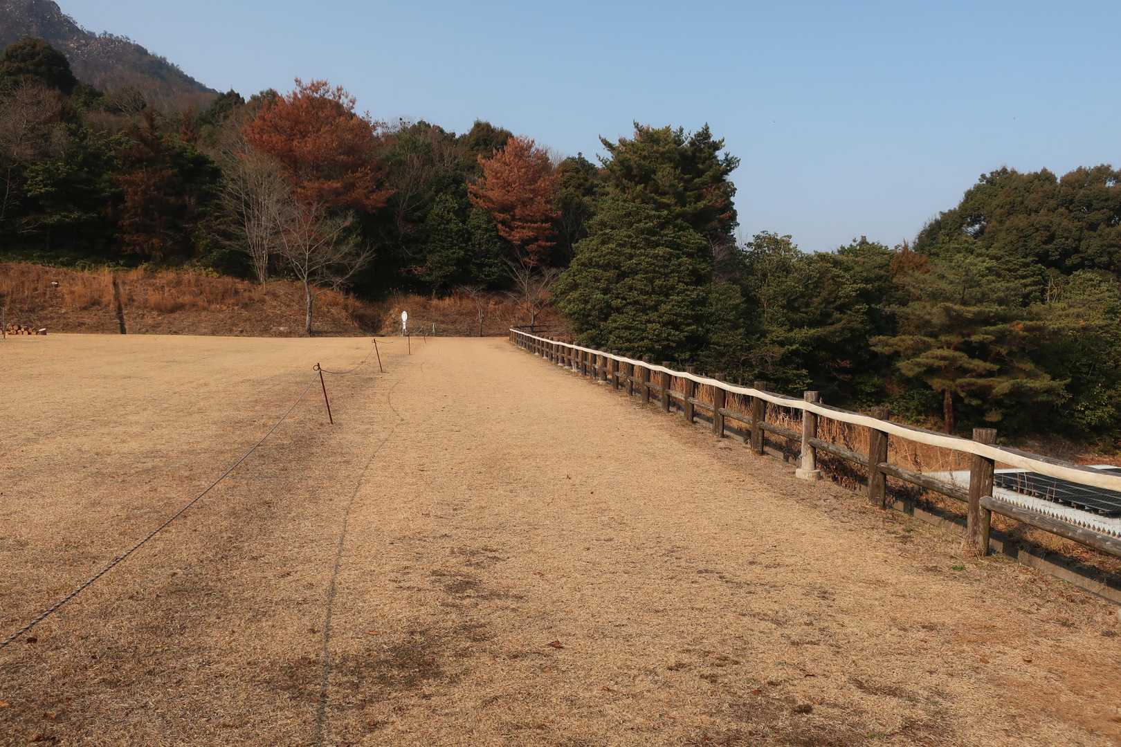 遊歩道をてくてく歩く