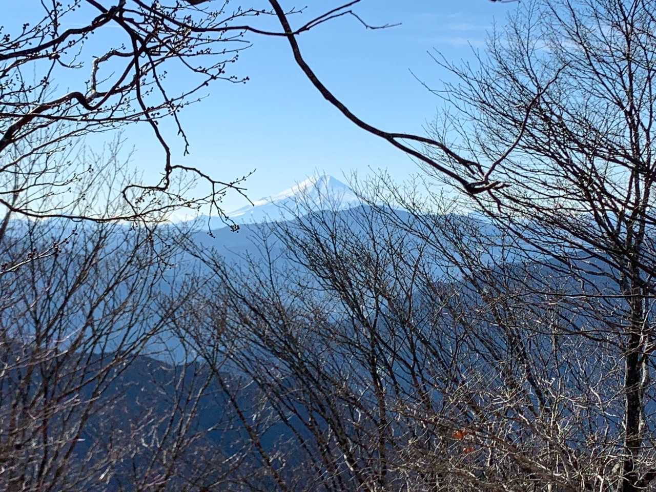 富士山🗻