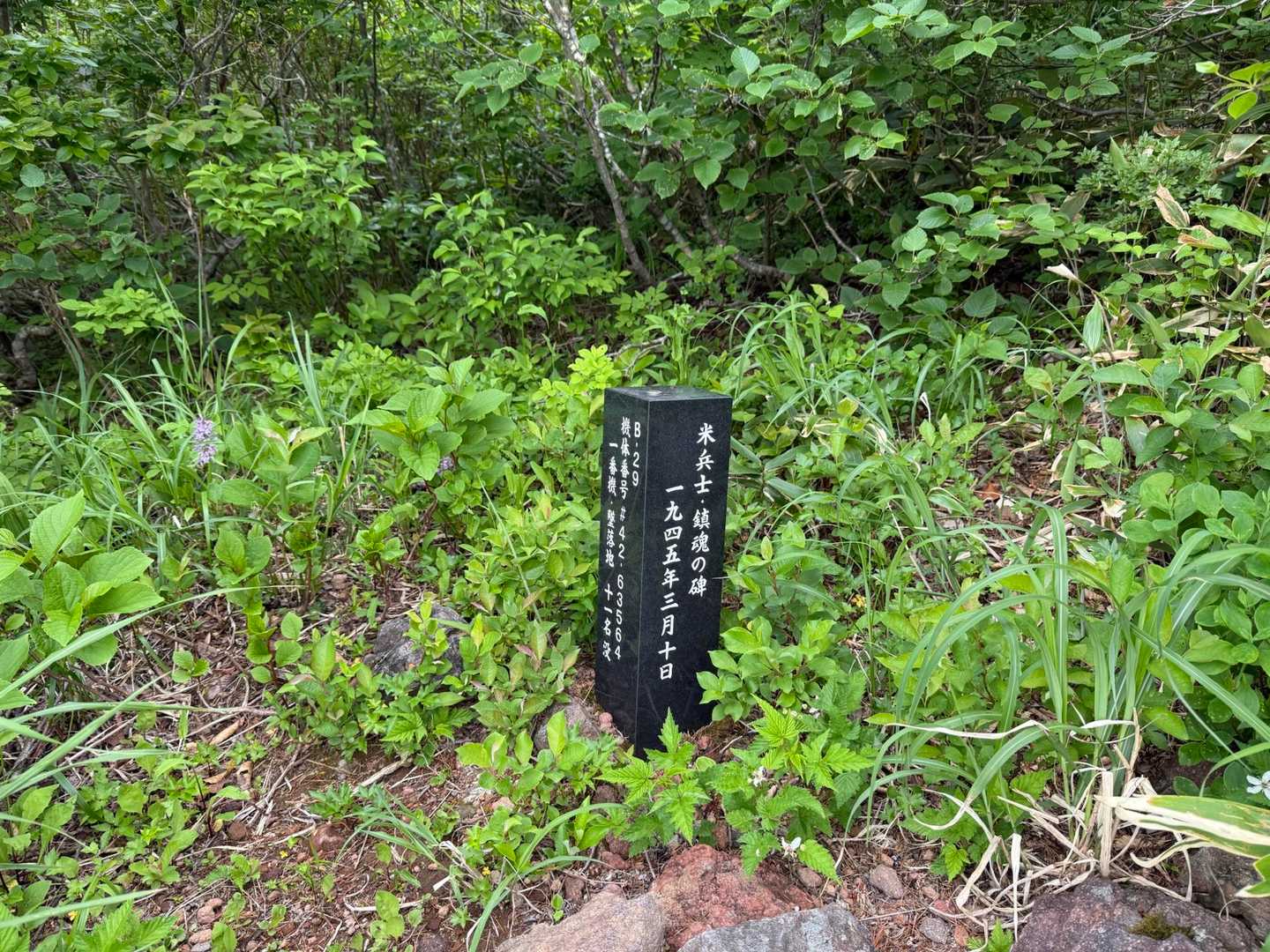 広くなっているところ。ここに墜落したのかな？