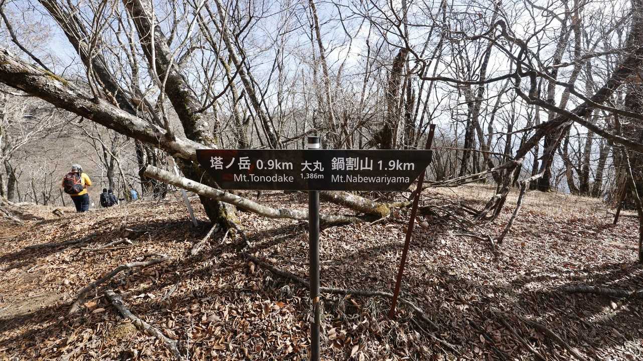 丹沢主脈縦走（檜洞丸•蛭ヶ岳•丹沢山•塔ノ岳•鍋割山） の写真 86