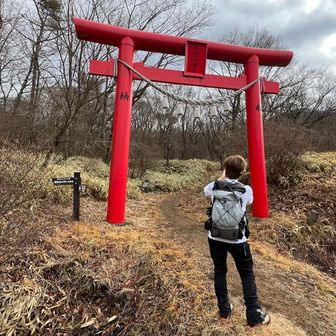 初日の出🌅登山以来の⛩