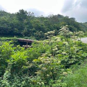 前回はしんのすけさんとお話しながら下山したことを思い出しながらゴール