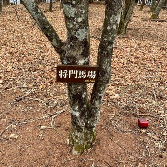 まさかどばんば