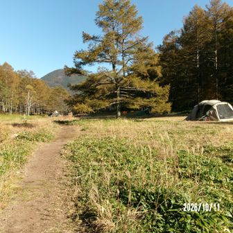 キャンプ場