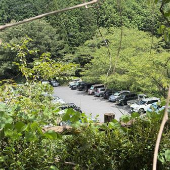 こんな暑くてもボケパはまあまあな駐車🚙