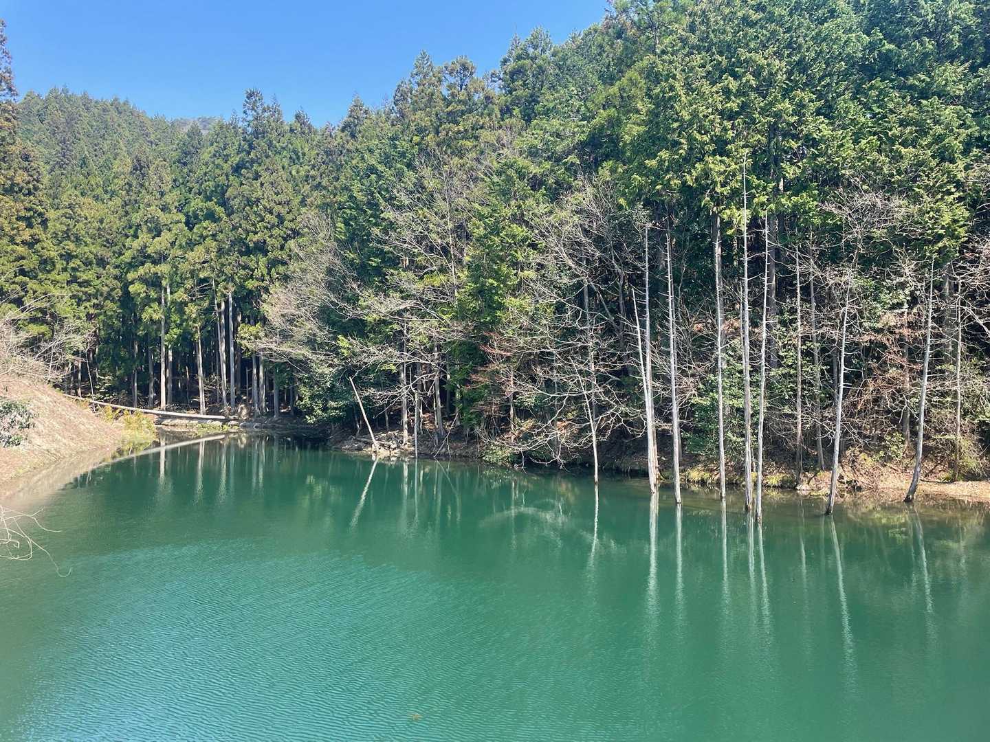 無事に戻ってきて