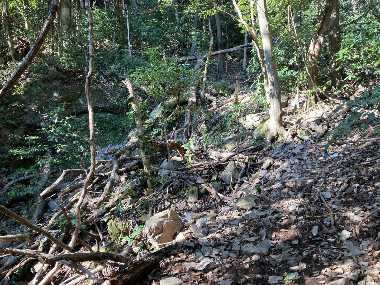 久しぶりにこっちから下りたけど登山道は荒れております。ここを下る時は充分に注意⚠️