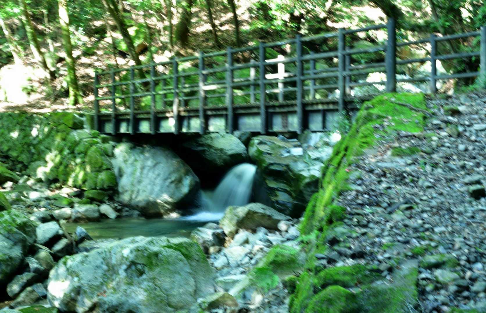 橋と沢の流れ・・・