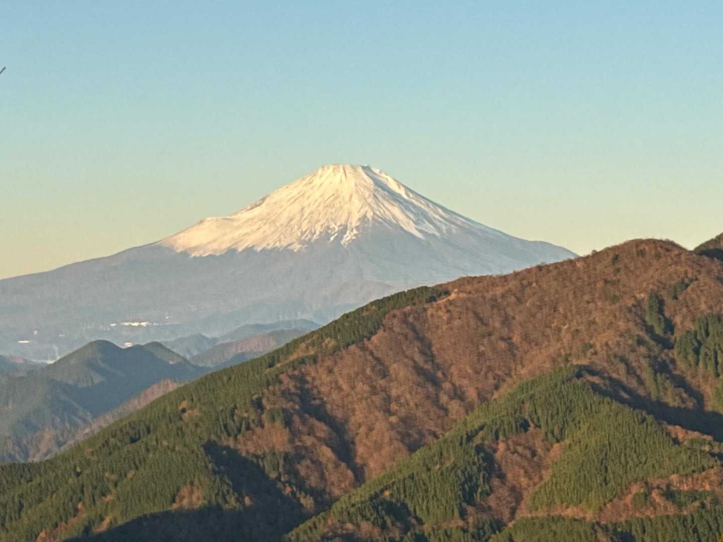 めっちゃ大きく見えます。存在感に圧倒されました。