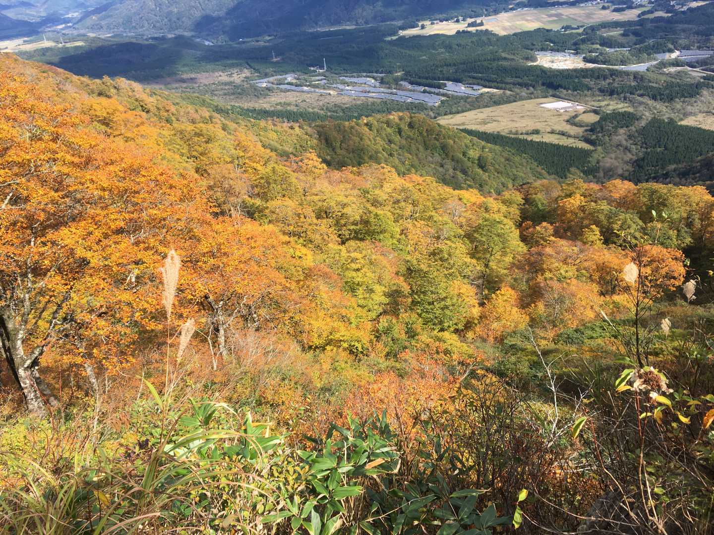 花立峠-禿岳 往復コースの写真