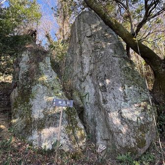 奇石シリーズ開始