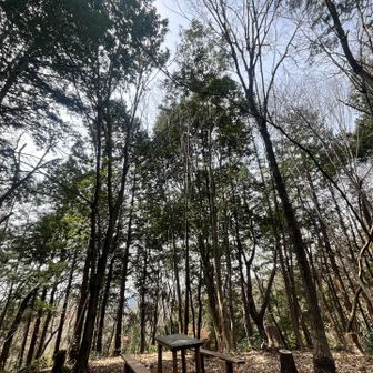 テーブルとベンチもありありがたいかぎり🙏