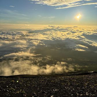 sekichuu0216（せきちゅう）