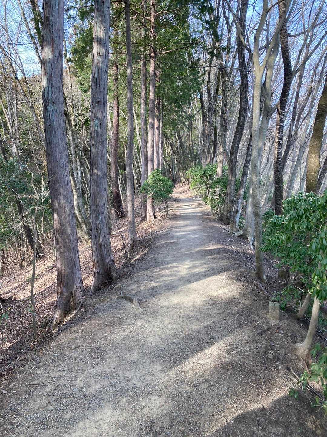 始めは緩やかな道を登っていきます。