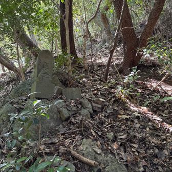 最近誰も通ってないらしく、蜘蛛の巣だらけ🕸️
山頂近くに薬師如来様現る🙏