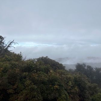 これは一瞬期待した😂