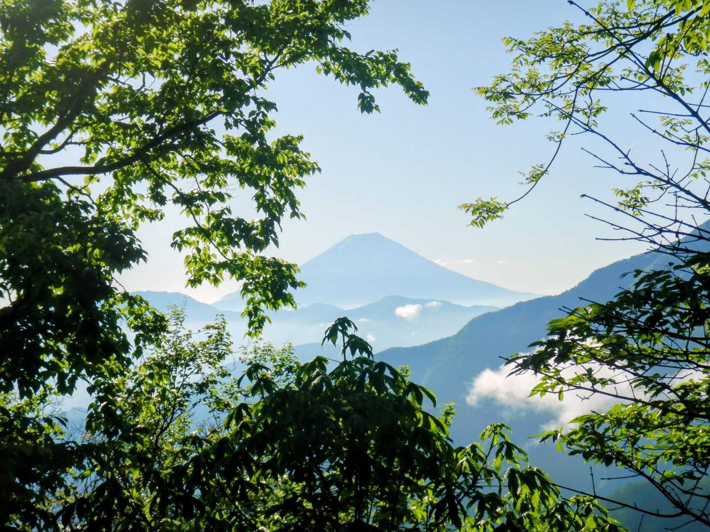 振り返ると富士山！😍