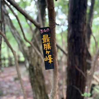 縁起の良い名前！