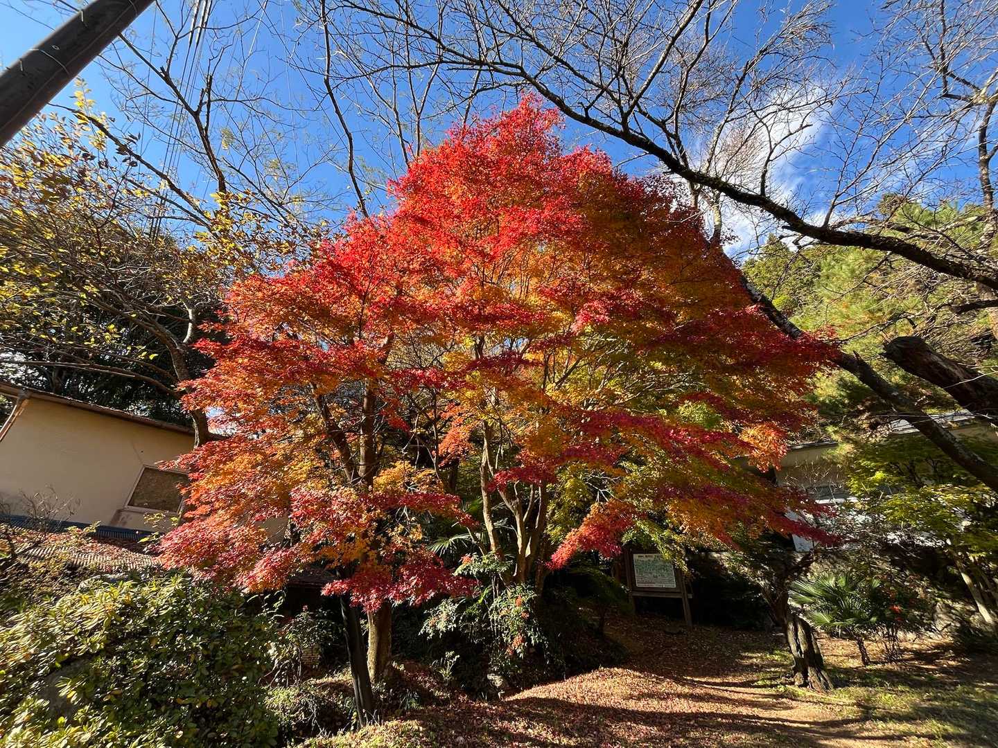やっと下山(友人)
ε-(´∀｀*)ホッ

御嶽駅まではすぐ
\(ˊᗜˋ)/ ﾔｯﾀ-!!