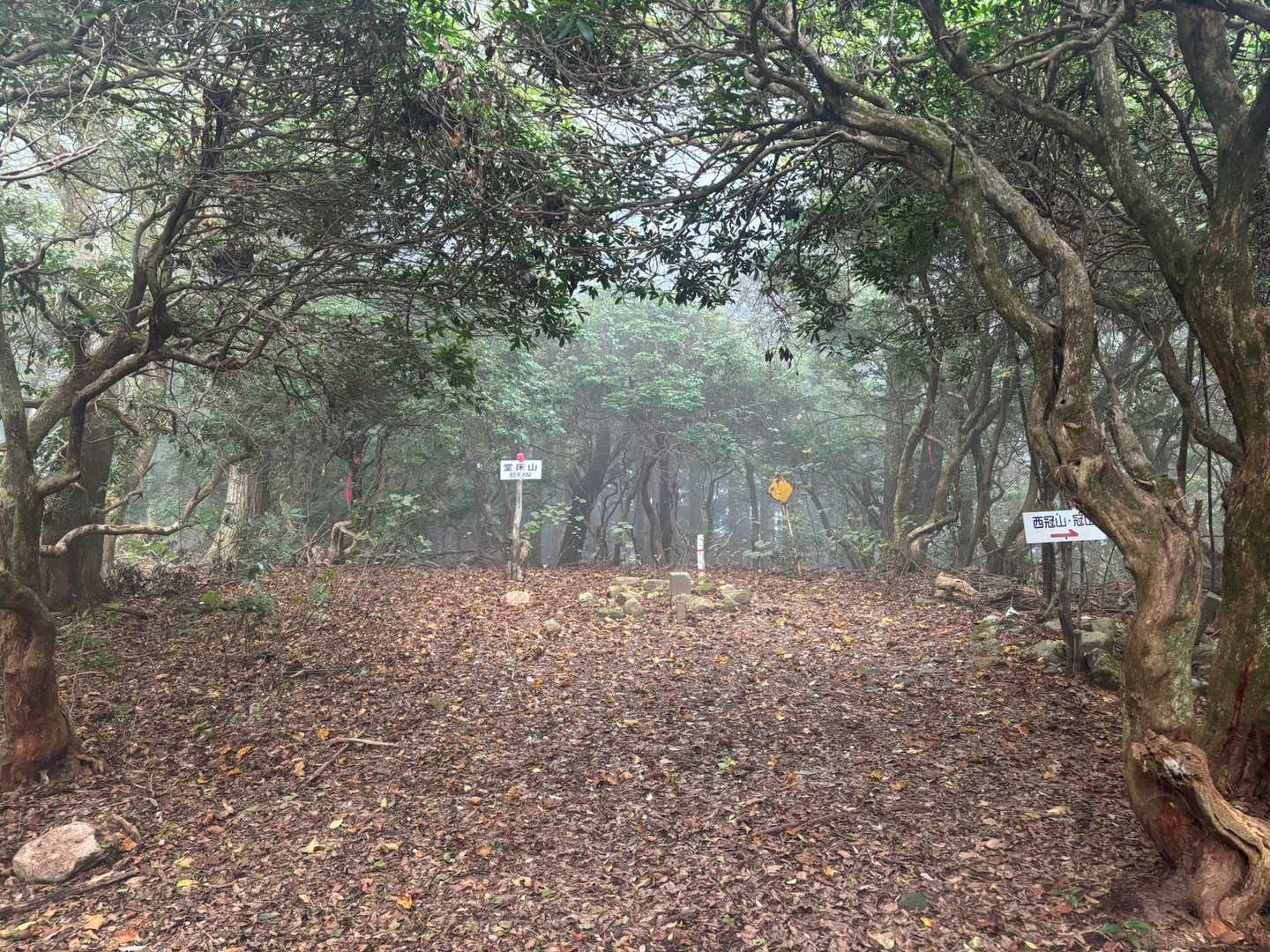 少しガスってる堂床山のピーク