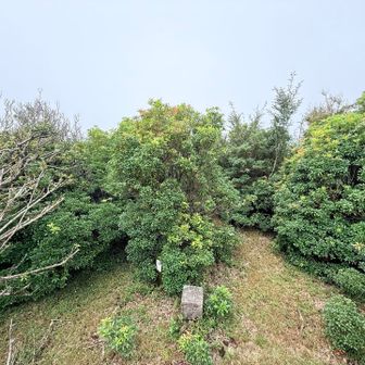 ミソウ台は三角点
バリ感強め！
今日は眺望無し