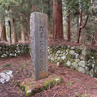 羽黒山の杉並木
