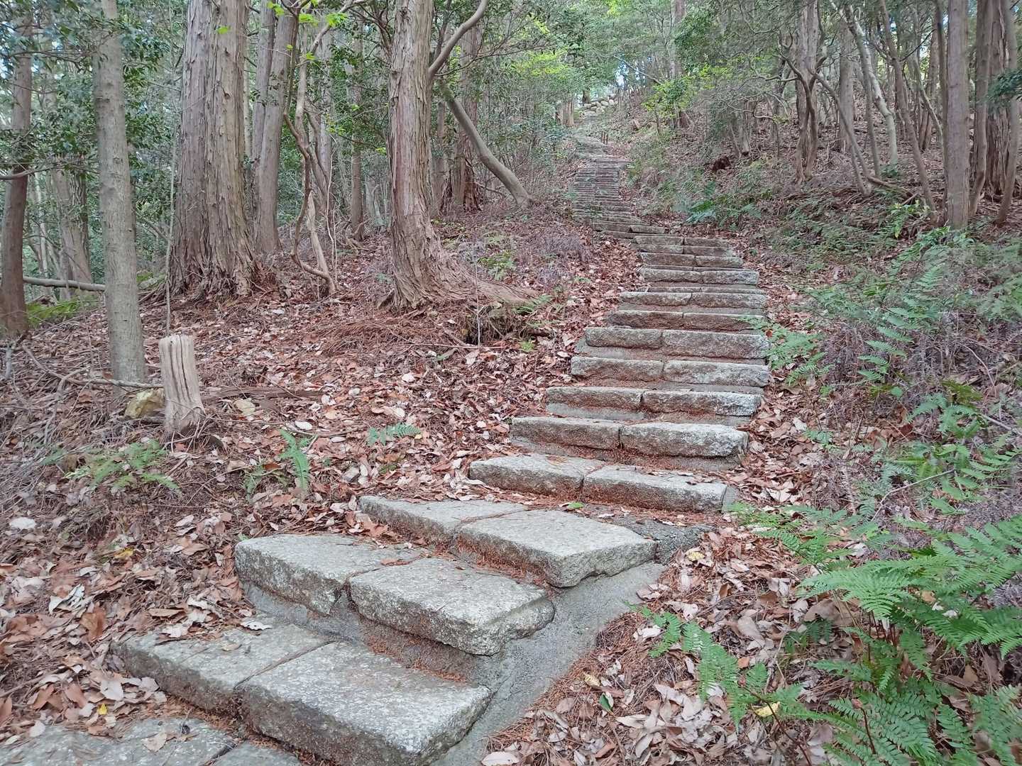山頂近くの階段👍
