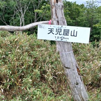 着いた着いた
藪こぎ疲れた😣💦⤵️
