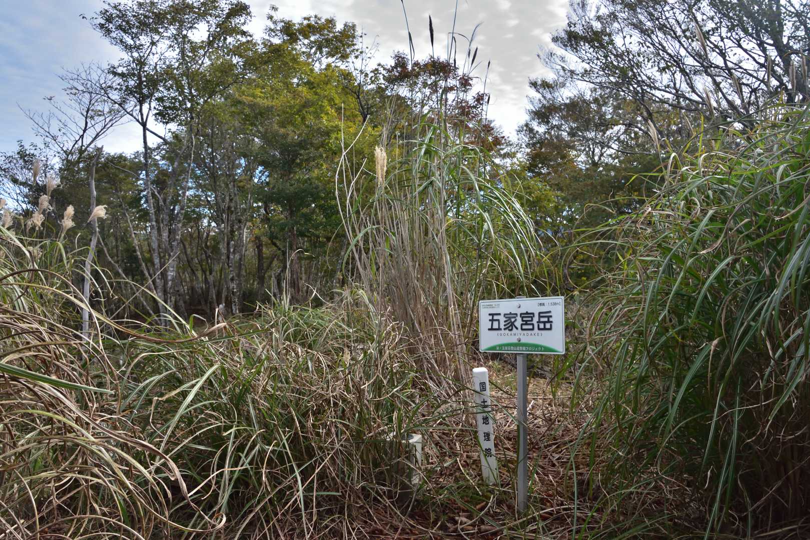 五家宮岳山頂