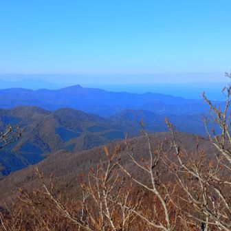 烏帽子と名の付いた理由がわかる形をしている