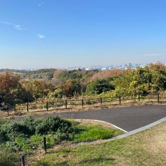 東京摩天楼。海を隔ててあっちに住んでいるって凄いわー
