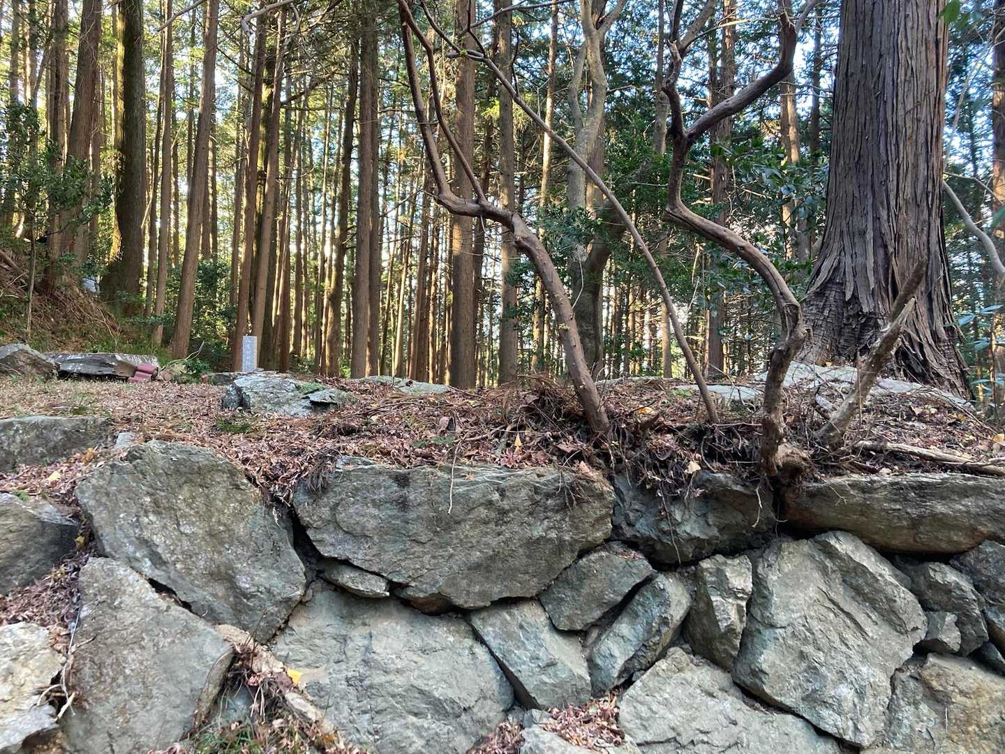 四峯神社跡なのですね。