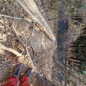ここを降りると道路に出ます。