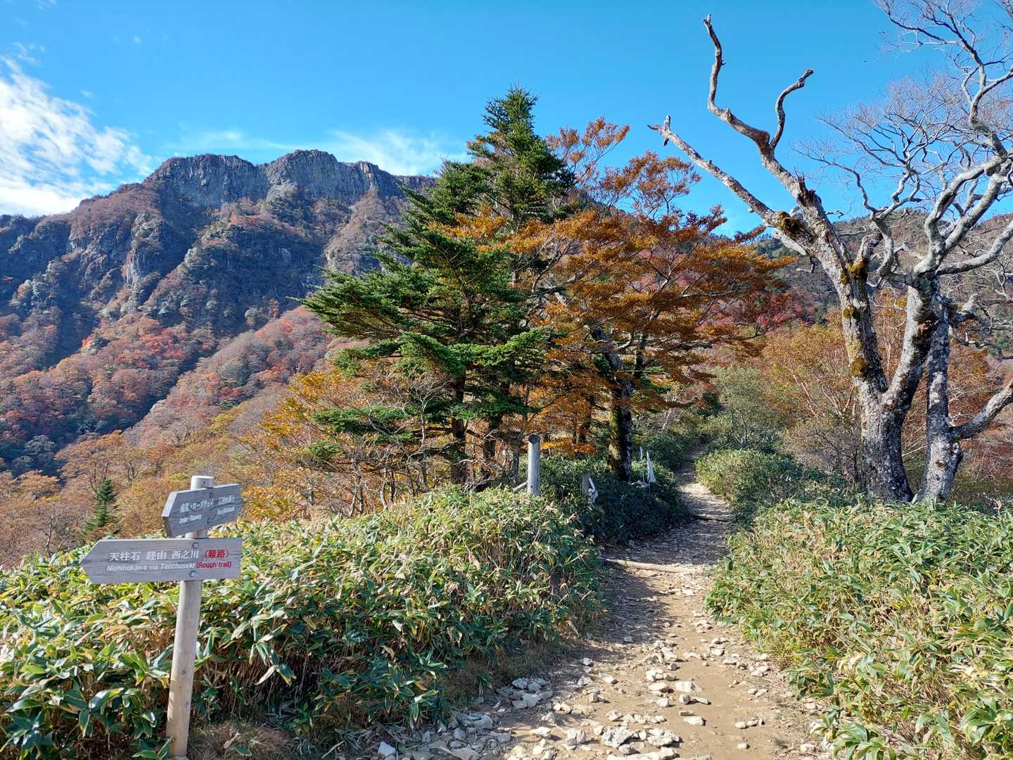 復路はこっから左折。
こっちも難路ダヨってある。(￣▽￣;)