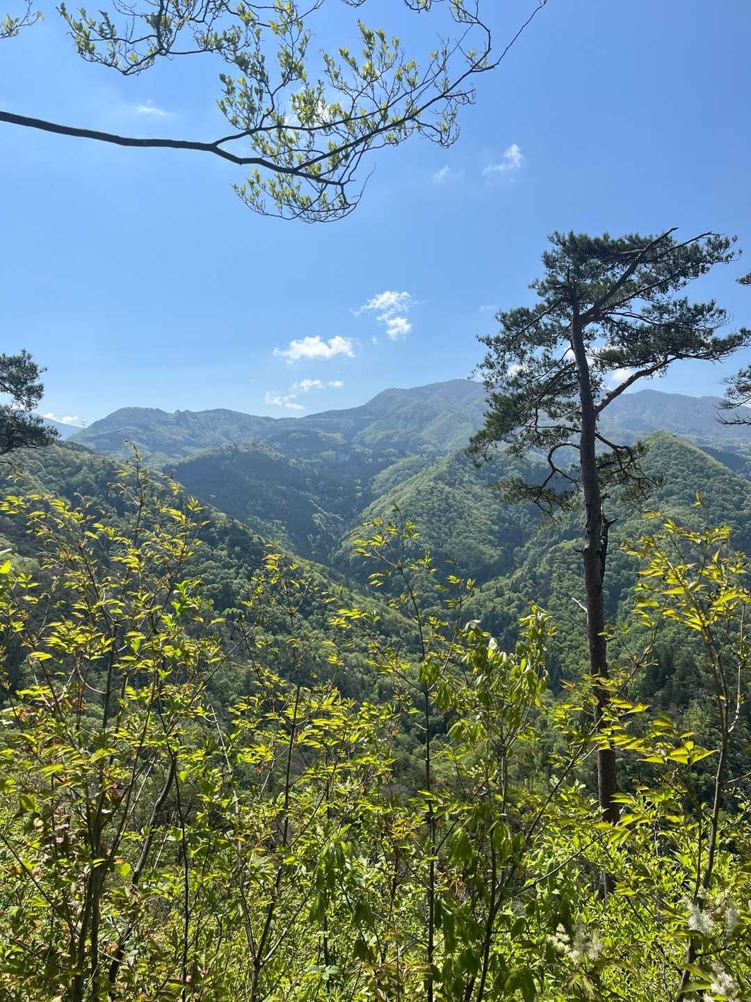 これから行くであろう山々