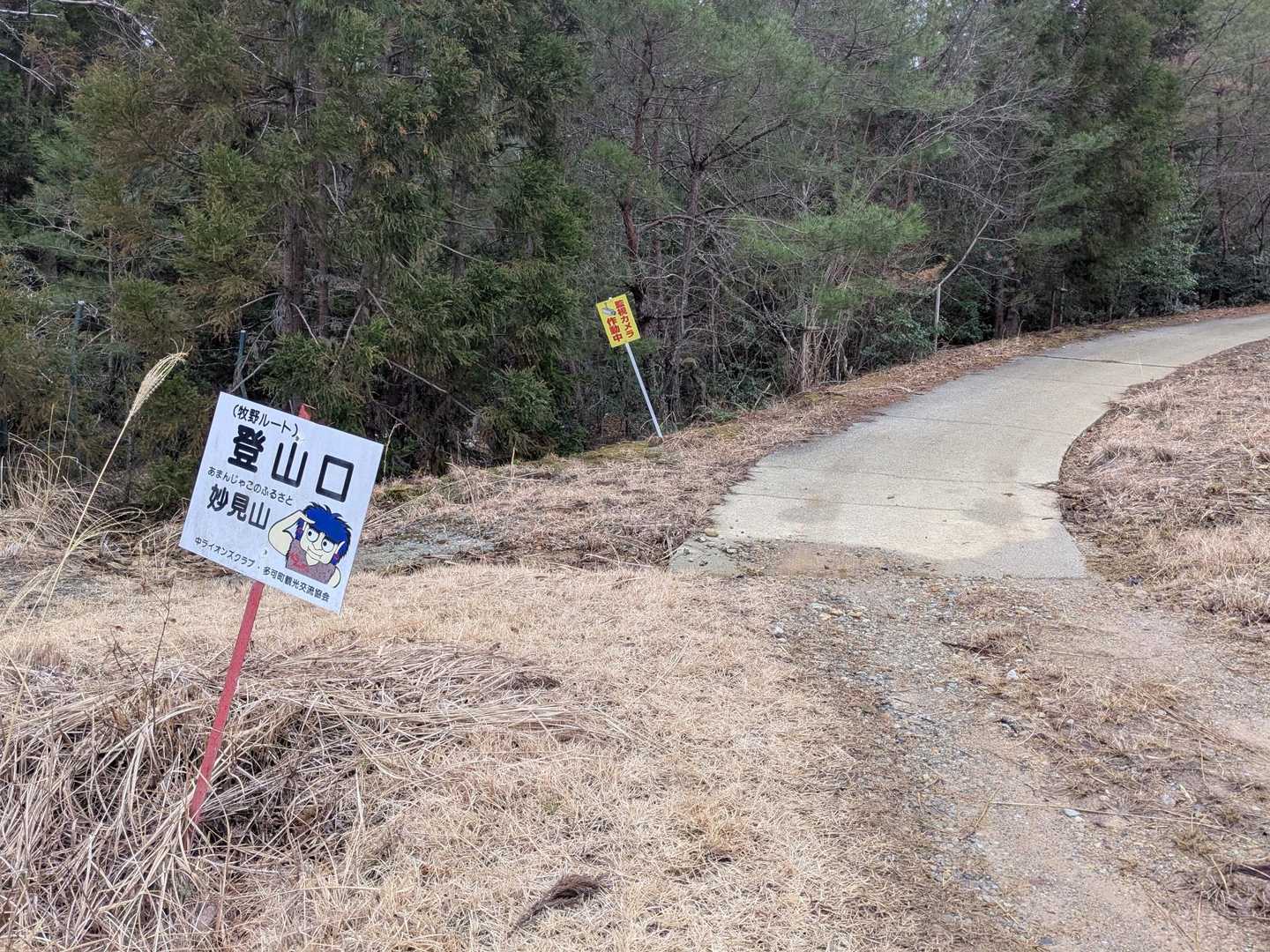 　やっと戻ってきました〜