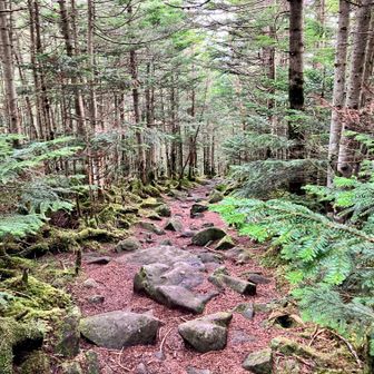 もうすぐ、下山。
