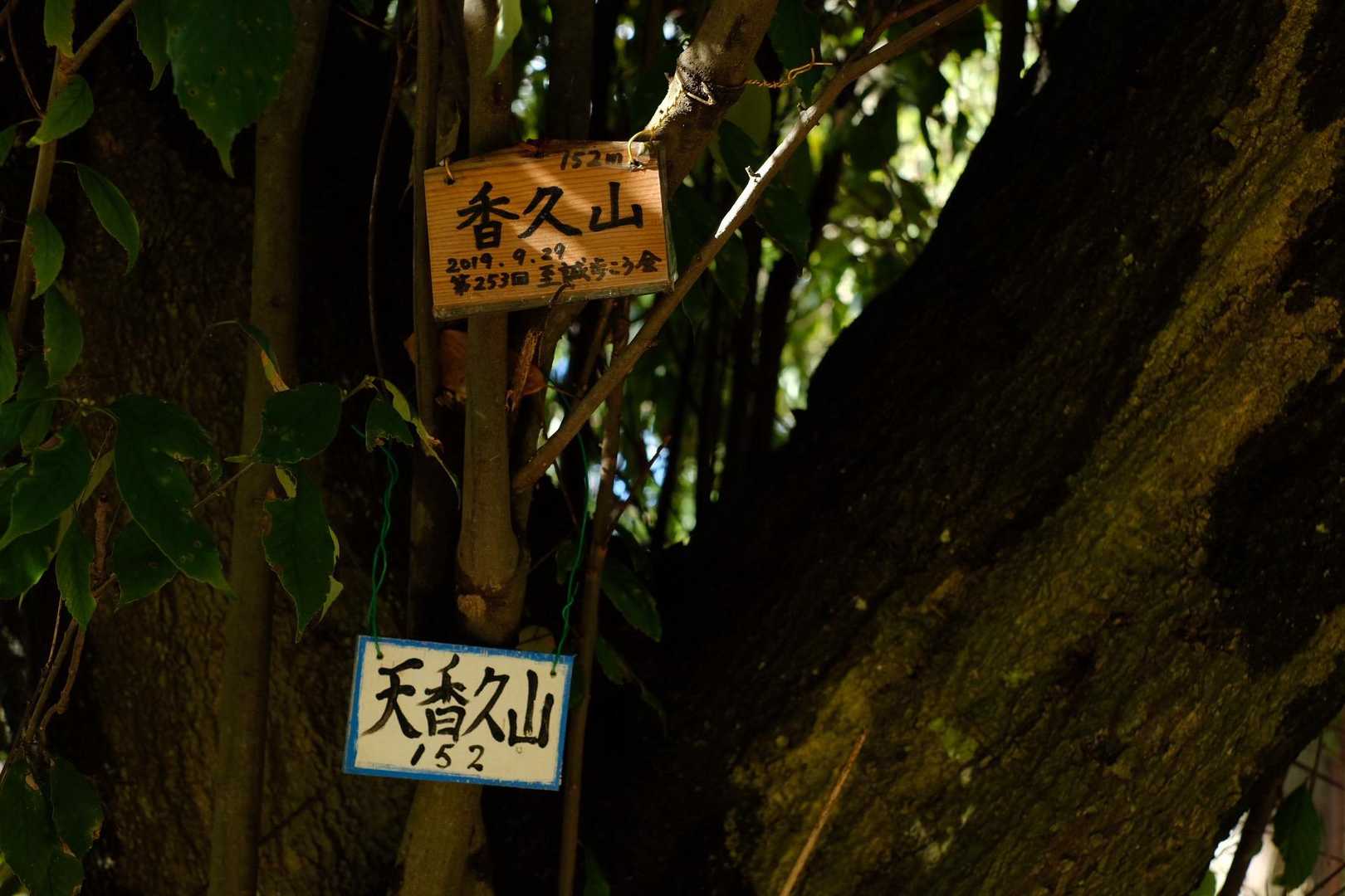 「春過ぎて 夏来にけらし 白妙の ころも干すてふ 天の香具山」　持統天皇

の、お山です！
