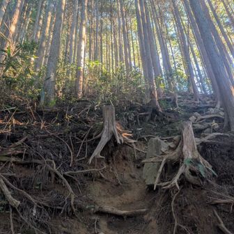 ルート名合ってるのかよくわからないけど、多分文殊尾根かと。