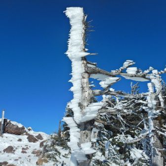 海老の尻尾の立派