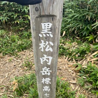 登頂🙌
距離的に藻岩山くらいの強度かと思ってたけど
ロープ場で疲れました🫠笑