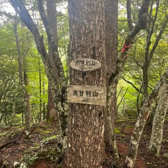 あっという間に到着
南甘利山迄の登山道は狭くて両側が笹だらけ
行くならゲイターオススメします
 
朝露で靴下までグチョグチョ🤣🤣
