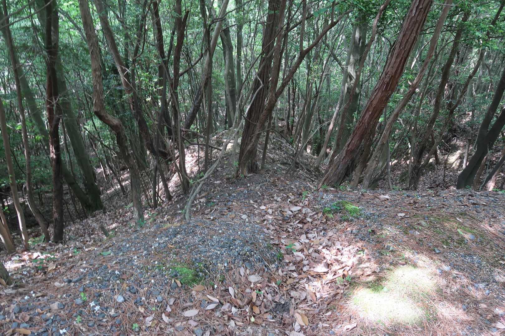 この付近、右も左も自然地形の竪堀群が頻出