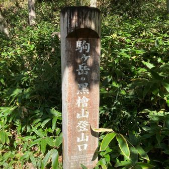 お疲れ様でした