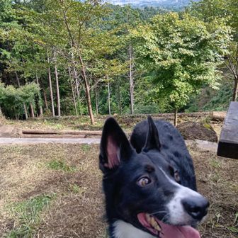 ほとんど人に会わなかった