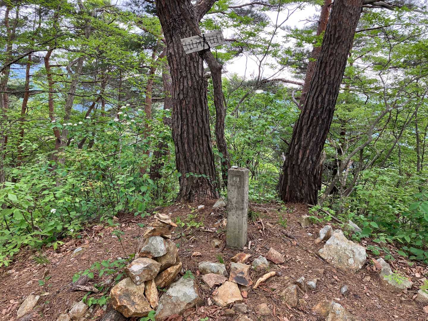 千歳山稲荷神社参道口-千歳稲荷神社-千歳山-丸山-護摩山- 周回コースの写真