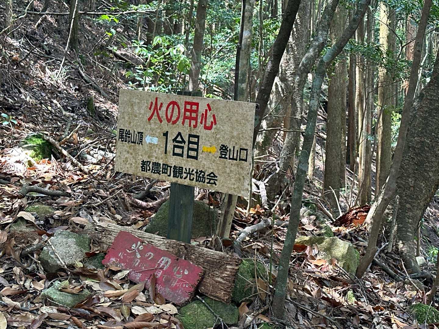 人生で言うと1合目くらいか
急登でも一歩一歩踏みしめて歩いているようで母は嬉しいよ