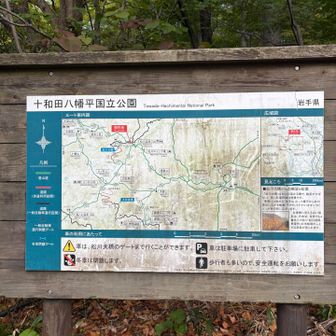 馬蹄形コース　源太ケ岳側から入山します